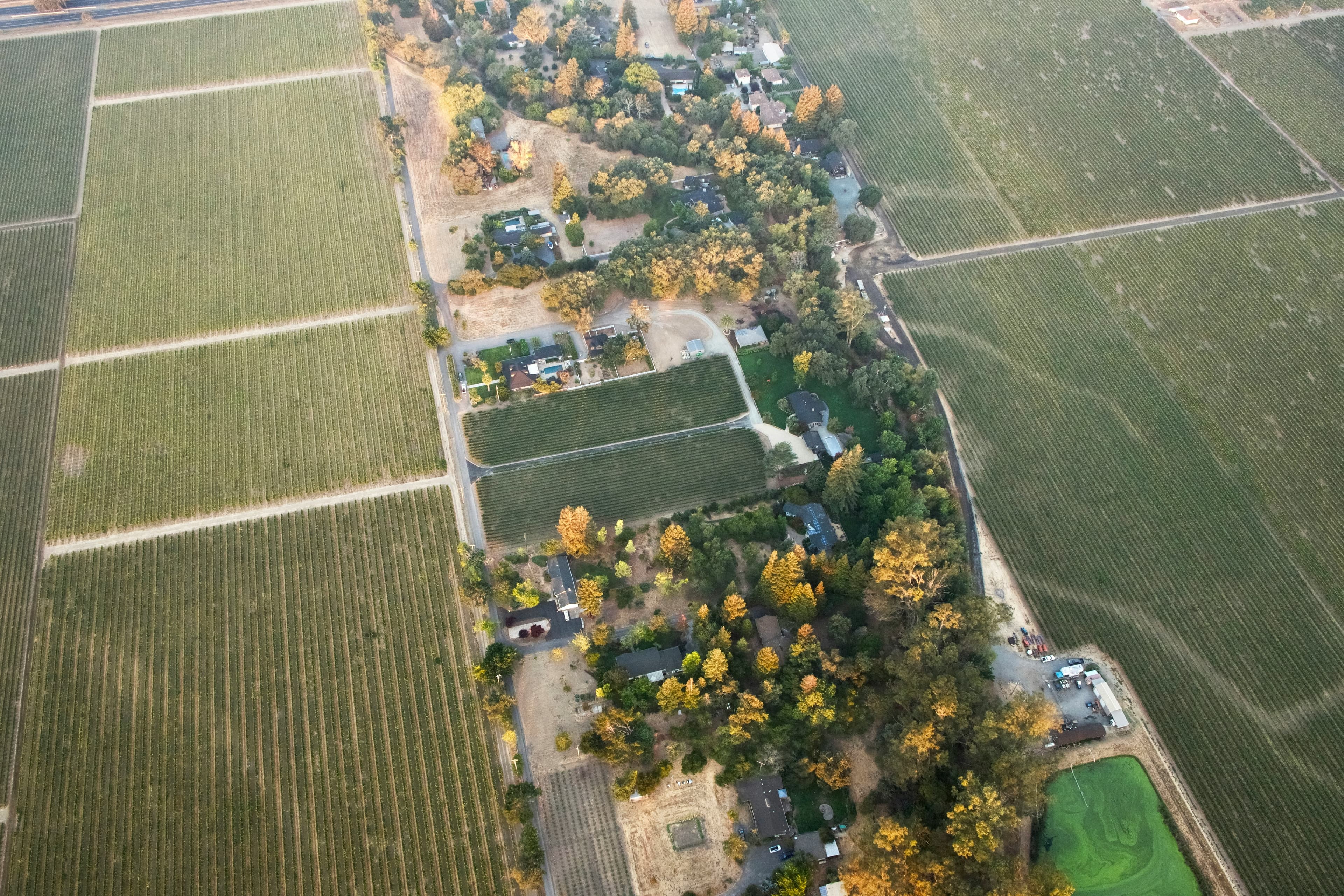 Aerial view of scenic green land parcels