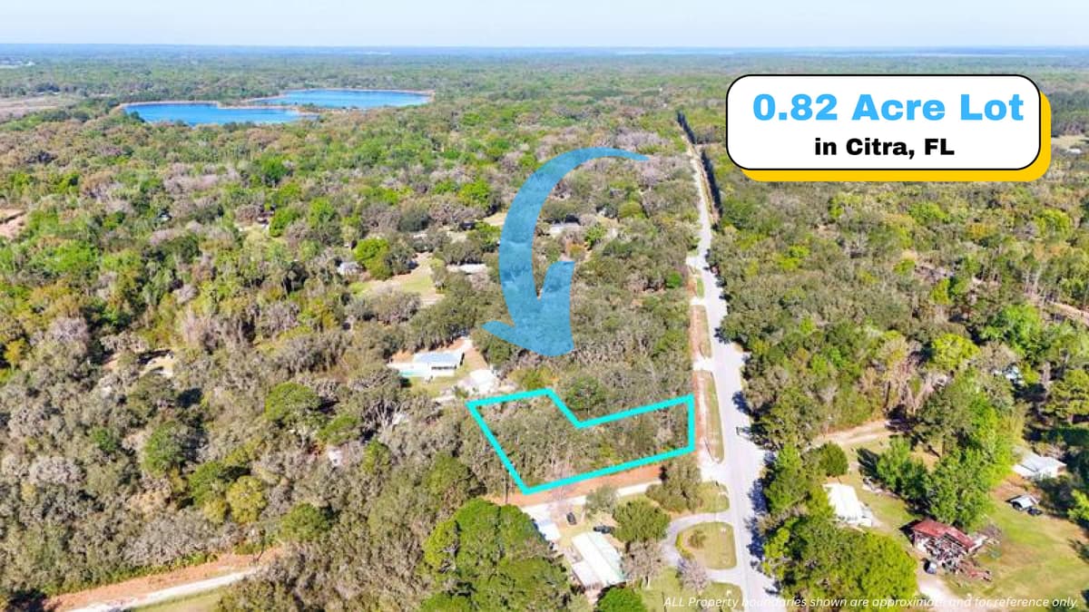 Lote Esquinero de 0.82 Acres en Citra, FL — Múltiples Frentes de Carretera